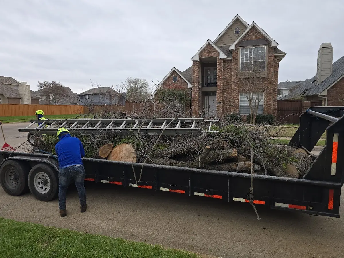 Expert Tree Fertilization with proper safety equipment in Calvin